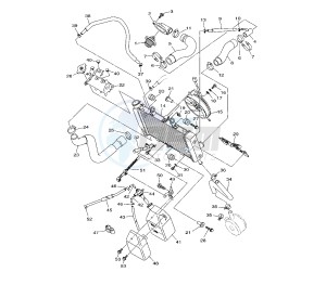 XJ6-F DIVERSION 600 drawing RADIATOR AND HOSE