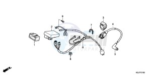 CRF100FC drawing WIRE HARNESS