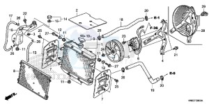 TRX680FAE TRX680 Europe Direct - (ED) drawing RADIATOR