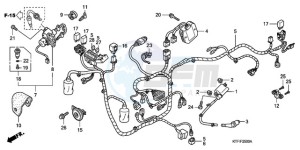 SH1259 France - (F / CMF 2F) drawing WIRE HARNESS