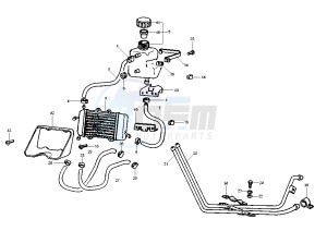 Zip 50 SP drawing Radiator Hose