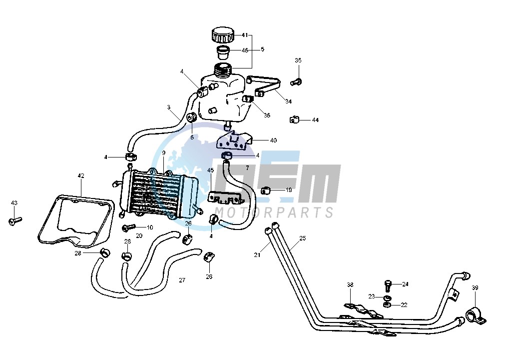 Radiator Hose