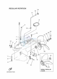 F250HETX drawing PROPELLER-HOUSING-AND-TRANSMISSION-2