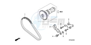 TRX420TMA Australia - (U / 2WD) drawing CAM CHAIN/TENSIONER