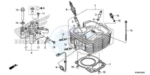 GLR1251WHF CB125F UK - (E) drawing CYLINDER HEAD