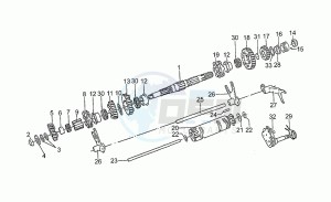 850 T5 Polizia Polizia drawing Driven shaft