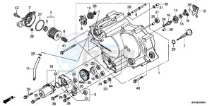 TRX500FMC ED drawing FRONT CRANKCASE COVER