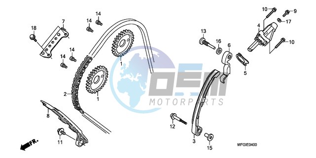 CAM CHAIN/TENSIONER