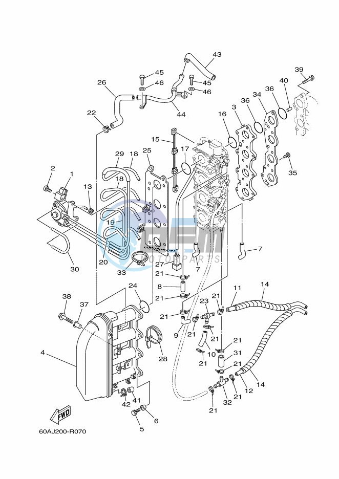 INTAKE