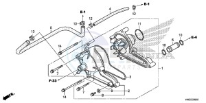 TRX500FPAE TRX500FPA Europe Direct - (ED) drawing WATER PUMP