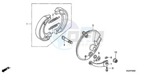 CRF100F9 Australia - (U) drawing FRONT BRAKE PANEL