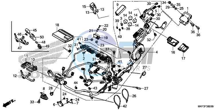 WIRE HARNESS