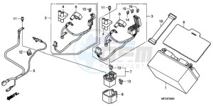 CB600F3A France - (F / CMF ST 25K) drawing BATTERY