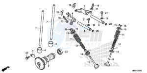 TRX420TE1H Europe Direct - (ED) drawing CAMSHAFT/VALVE