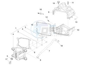 Fly 50 4t 4v (USA) drawing Cylinder head cover