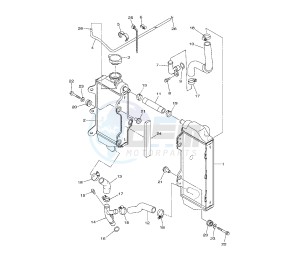 WR F 450 drawing RADIATOR AND HOSE