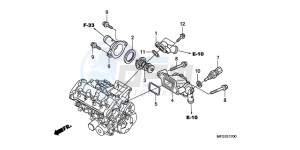 CB600F9 Europe Direct - (ED / 25K) drawing THERMOSTAT