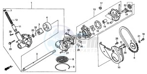 GL1500CD drawing OIL PUMP