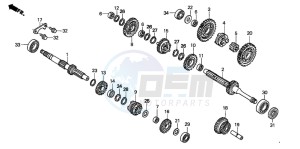 TRX250TM FOURTRAX RECON drawing TRANSMISSION