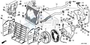 TRX420FM1H TRX420 ED drawing RADIATOR