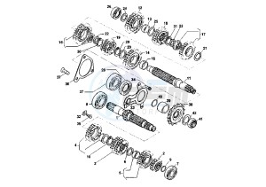 X-TRA RAPTOR 1000 drawing TRANSMISSION