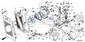 VT750CA9 Australia - (U / ST) drawing RADIATOR