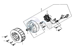 SUPER FANCY - 50 cc drawing FLYWHEEL MAGNETO