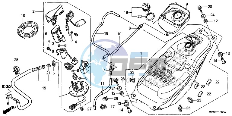 FUEL TANK/ FUEL PUMP