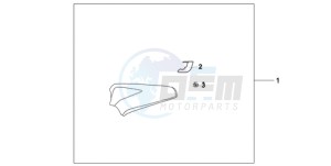 CB1000R9 France - (F / CMF) drawing PILLION*PDBG/PBK*