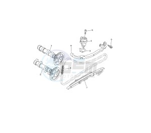 XP T-MAX 530 drawing CAMSHAFT AND TIMING CHAIN