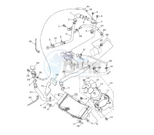 XP T-MAX 500 drawing RADIATOR AND HOSE