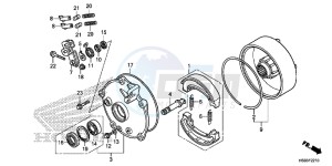 TRX250TMH Europe Direct - (ED) drawing REAR BRAKE DRUM