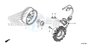 CRF110FD CRF110F Europe Direct - (ED) drawing GENERATOR