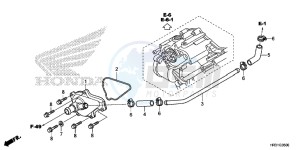 TRX420FM1H TRX420 ED drawing WATER PUMP COVER