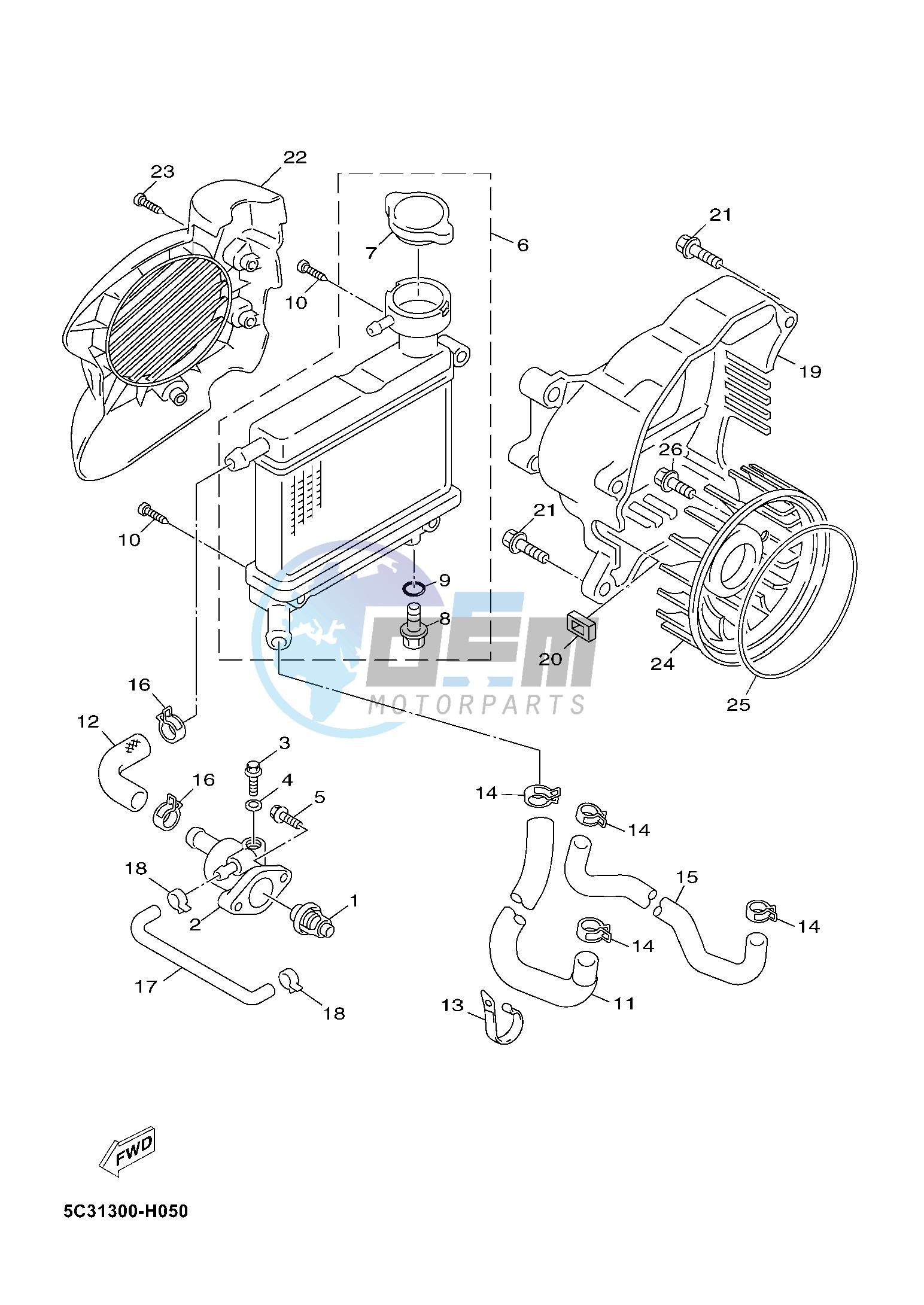 RADIATOR & HOSE