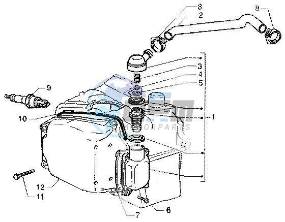 Oil drain valve