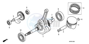 TRX500FEA Australia - (U / EC) drawing CRANKSHAFT/PISTON