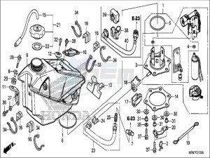 CRF250RH Europe Direct - (ED) drawing FUEL TANK