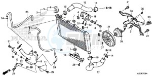 NC750JF Vultus - NC750J Europe Direct - (ED) drawing RADIATOR