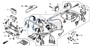 TRX500FPEB drawing WIRE HARNESS