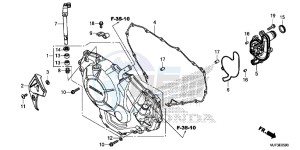 CRF1000AG CRF1000 - Africa Twin - ABS Europe Direct - (ED) drawing RIGHT CRANKCASE COVER (CRF1000/CRF1000A)