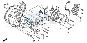 TRX300EX SPORTRAX drawing LEFT CRANKCASE COVER