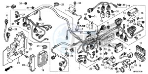 TRX420FED TRX420 Europe Direct - (ED) drawing WIRE HARNESS