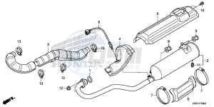 TRX420FM2H Europe Direct - (ED) drawing EXHAUST MUFFLER