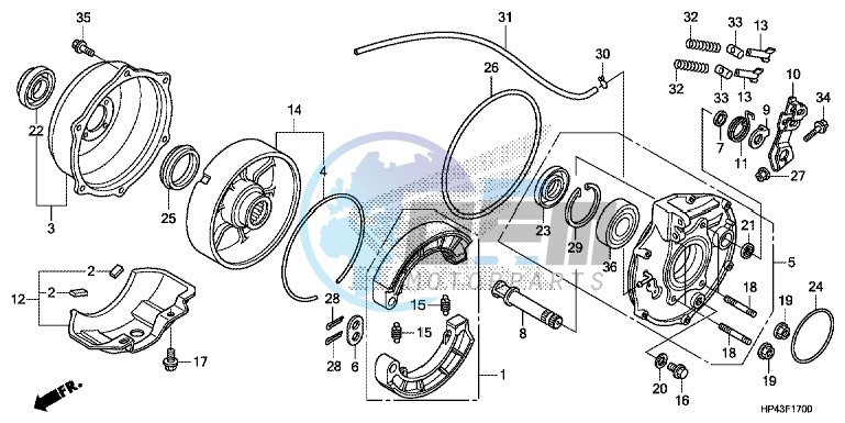 REAR BRAKE PANEL