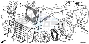 TRX500FM5H Europe Direct - (ED) drawing RADIATOR