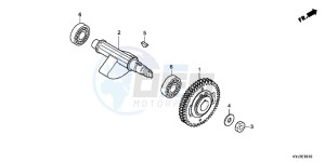 CBR250RB drawing BALANCER SHAFT