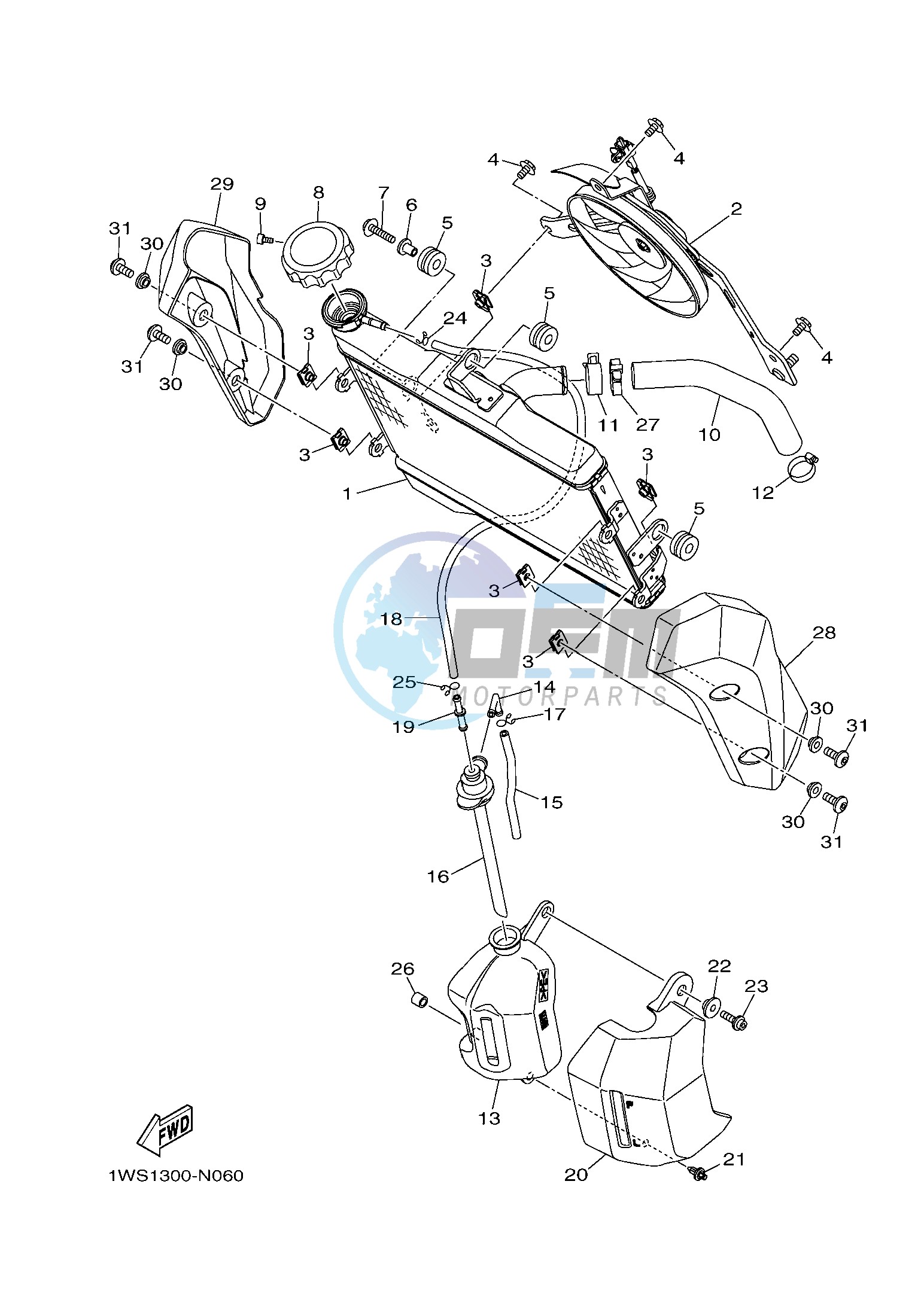 RADIATOR & HOSE