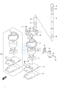 DF 250 drawing Water Pump SS Model