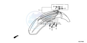 CRF150RBD CRF150RB Europe Direct - (ED) drawing FRONT FENDER